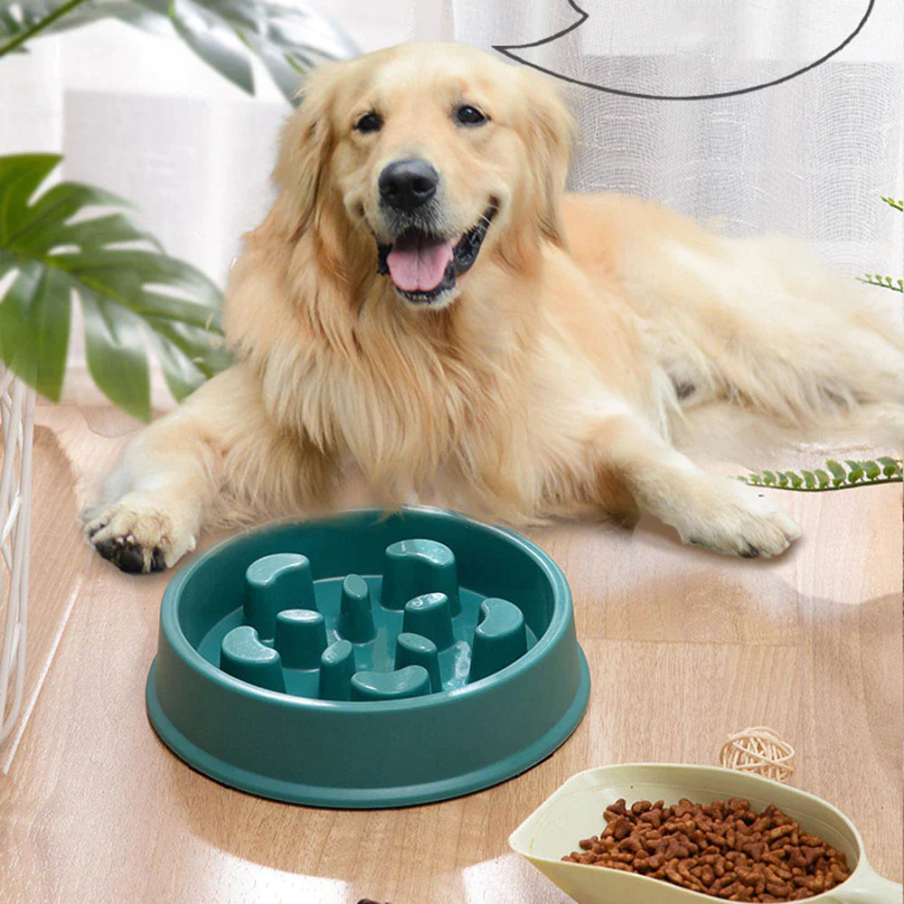 Slow Feeder Dog Bowl β Anti-Choke, Non-Slip Pet Food Bowl for Small Dogs & Cats | Improves Digestion & Prevents Bloating