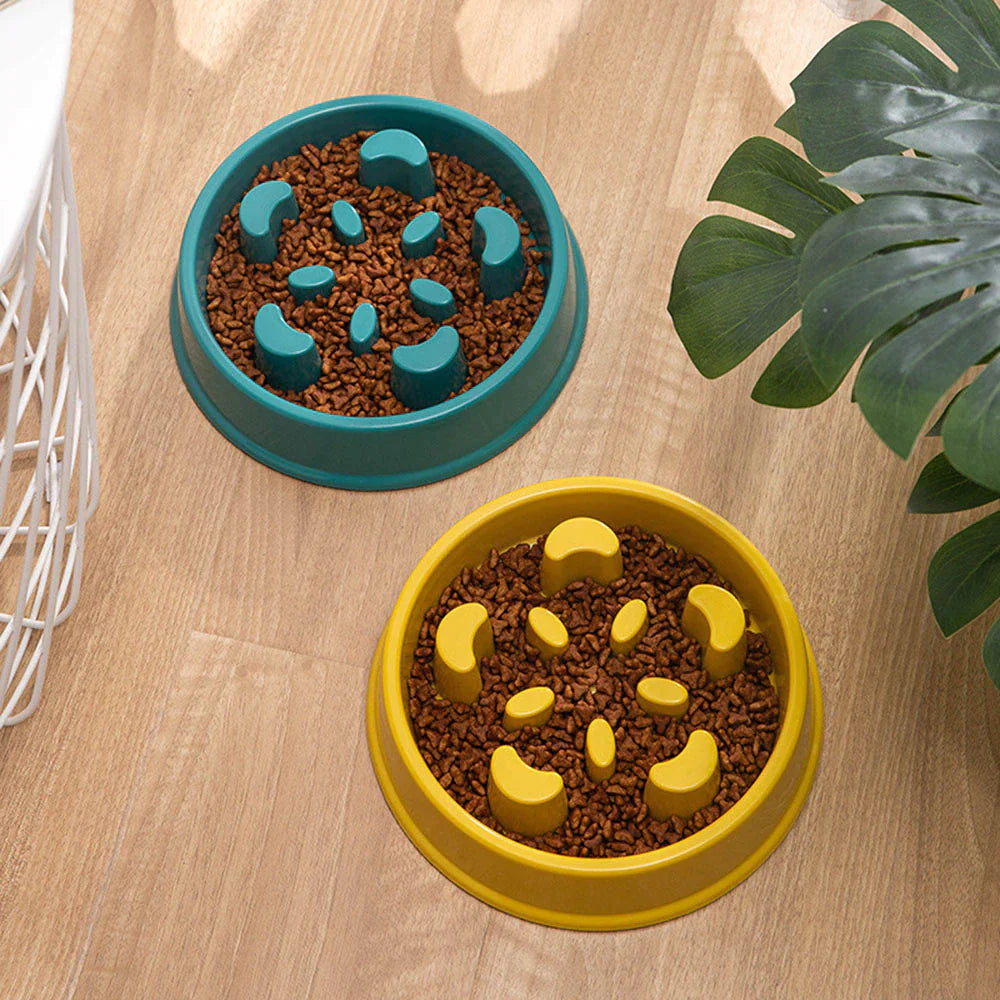 Slow Feeder Dog Bowl β Anti-Choke, Non-Slip Pet Food Bowl for Small Dogs & Cats | Improves Digestion & Prevents Bloating
