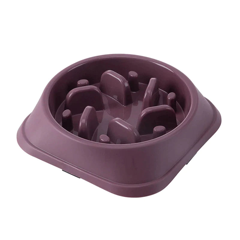 Slow Feeder Dog Bowl β Anti-Choke, Non-Slip Pet Food Bowl for Small Dogs & Cats | Improves Digestion & Prevents Bloating