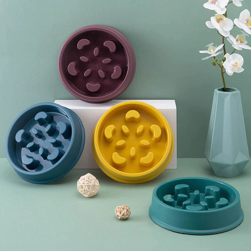 Slow Feeder Dog Bowl – Anti-Choke, Non-Slip Pet Food Bowl for Small Dogs & Cats | Improves Digestion & Prevents Bloating